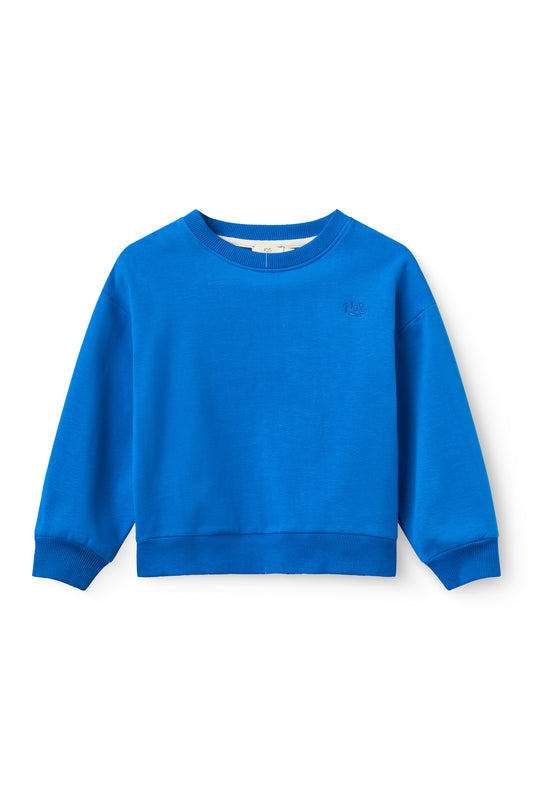Classic Sweatshirt - In bruin en blauw