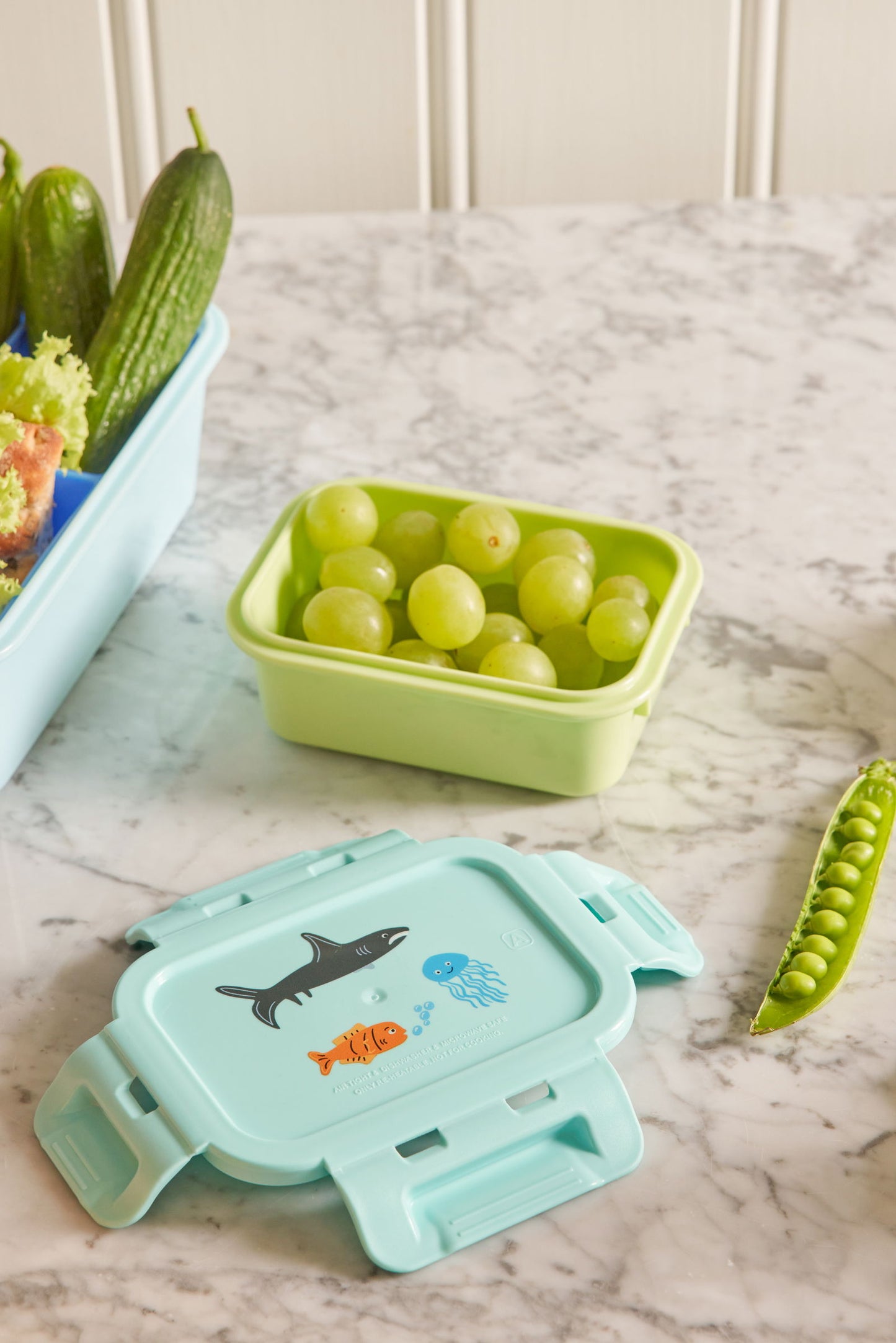 Lunchbox with Airtight Lid and Mint Wildlife