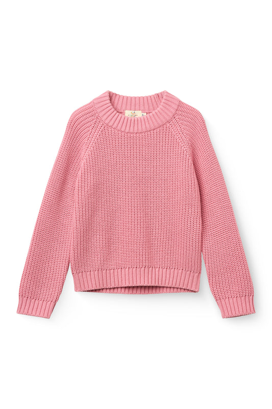 Gebreide Klassieke Ribtrui - Groen en Roze