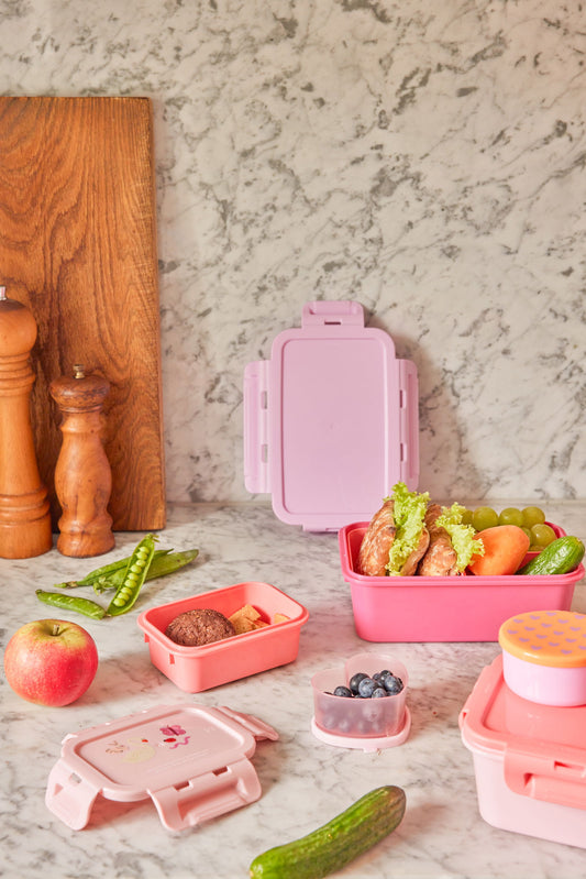 Lunchbox with Airtight Lid and Pink Wildlife
