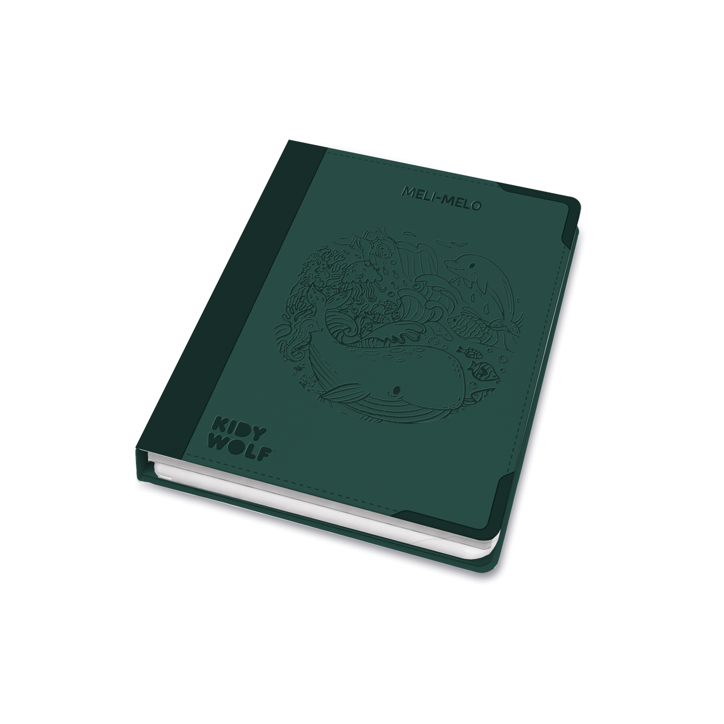 KIDYDRAW PAD 10+