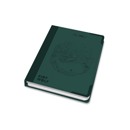 KIDYDRAW PAD 10+
